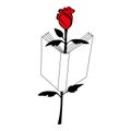 Open book in the middle of a red rose, like a bookmark. Concept of literature, poetry, reading, education. Design for decoration Royalty Free Stock Photo