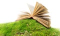 open book on moss/ ground