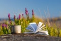 Open book with a mug of tea on a background of flowers outdoors. Sea background blurred