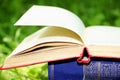 Open book on nature background. Knowledges is power Royalty Free Stock Photo