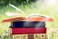 Open book on nature background. Knowledges is power Royalty Free Stock Photo