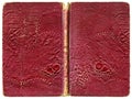 Open book or notebook - tattered vintage cover with artificial lizard leather