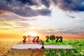 Open book with number 2022 and 2023 at sunset. Concept of Happy New Year. Royalty Free Stock Photo