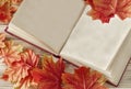 Open book with old blank pages as copy space and autumn fallen leaves. Royalty Free Stock Photo