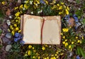 Open book with old shabby bages in grass and flowers Royalty Free Stock Photo