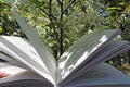 Open book page fan on the background of a blossoming tree Royalty Free Stock Photo