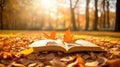 Open book in a park in the fall. Book with leaves of autumn on it on a bright day. Autumnal park scenery with warm bokeh