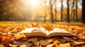 Open book in a park in the fall. Book with leaves of autumn on it on a bright day. Autumnal park scenery with warm bokeh