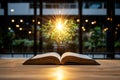 Open book with plant illuminated by a warm light source Royalty Free Stock Photo