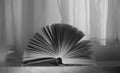 Open Book with point light,reading,education,learning concept, black and white, good copy space Royalty Free Stock Photo