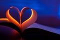 Open book in red heart shape Royalty Free Stock Photo