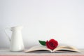 An open book with a red rose flower on it. Royalty Free Stock Photo