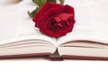 Open book and red rose Royalty Free Stock Photo