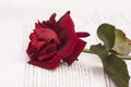 Open book and red rose Royalty Free Stock Photo