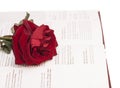 Open book and red rose Royalty Free Stock Photo