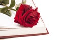 Open book and red rose Royalty Free Stock Photo