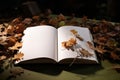 An open book reveals a page adorned with delicate leaves