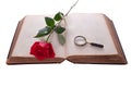 Open book with rose and magnifying glass. Isolated Royalty Free Stock Photo