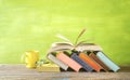 Open Book and row of multicolored hardback books, reading education, literature,book fair concept. Panoramic format, copy Royalty Free Stock Photo