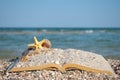 Open book sand seashells sea star beach sea shore blue sky white wave summer weekend vacation Royalty Free Stock Photo