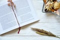 Open book, sea shells and dried flowers on a white desk. Royalty Free Stock Photo