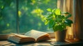 Open book, small plant, windowsill, sunlight Royalty Free Stock Photo