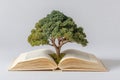 Tree of Knowledge Royalty Free Stock Photo