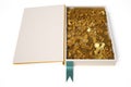 An open book, some gold coins inside the book.3D illustration. Royalty Free Stock Photo