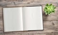 Open book succulent wooden background Minimal flat lay