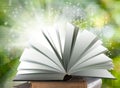 An open book symbolizing the source of knowledge. A book lying on a stack of books Royalty Free Stock Photo