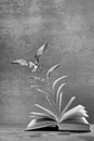 Open book on table with pages to become a flying bird in monochrome Royalty Free Stock Photo