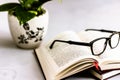 Open Book on the Table Top with Spectacles and Plant Royalty Free Stock Photo