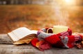 Open book and tea mug with warm scarf Royalty Free Stock Photo