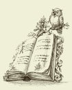 Open book vintage stand and cute owl Royalty Free Stock Photo