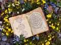 Open book with wiccan festivals chart among spring flowers