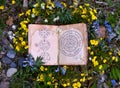 Open book with wiccan festivals and magic charts in grass and flowers