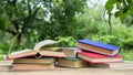 Open book on a wooden table in a garden. Sunny summer day, reading in a vacation concept Royalty Free Stock Photo