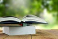 Open books and blur nature background. Royalty Free Stock Photo