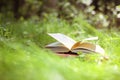 Open books outdoor. Knowledge is power. Book in a forest. Book on a stump Royalty Free Stock Photo