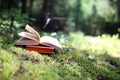 Open books outdoor. Knowledge is power. Book in a forest. Book on a stump Royalty Free Stock Photo