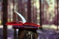 Open books outdoor. Knowledge is power. Book in a forest. Book on a stump Royalty Free Stock Photo
