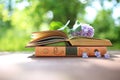 Open books outdoor. Knowledge is power. Book in a forest. Book on a stump Royalty Free Stock Photo