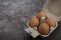 Open box with Chicken eggs in small paper tray on texture background Royalty Free Stock Photo