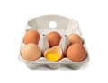 Egg Box with Chicken Eggs, Carton Pack or Egg Container Royalty Free Stock Photo