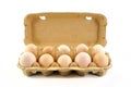 Open box with ten fresh bio eggs Royalty Free Stock Photo