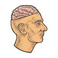 Open brain in head color sketch vector