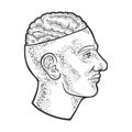 Open brain in head sketch vector illustration