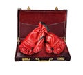 Open Briefcase with Boxing Gloves