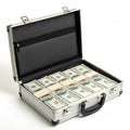 Open briefcase with dollars isolated on white background Royalty Free Stock Photo