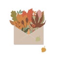 Open brown envelope made of paper. Inside, dry leaves of different trees and twigs. Autumn poster